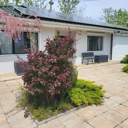 Casa Elis Piscina, Jacuzzy , Sauna, Ciubar Merei Exterior foto