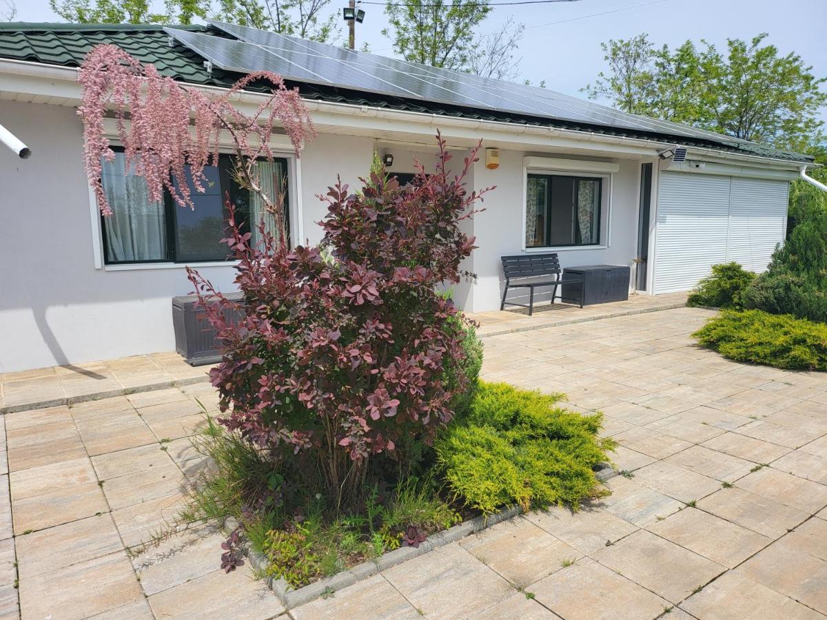 Casa Elis Piscina, Jacuzzy , Sauna, Ciubar Merei Exterior foto