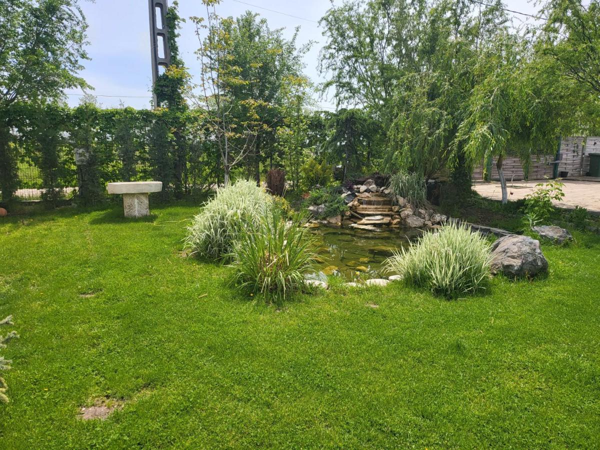 Casa Elis Piscina, Jacuzzy , Sauna, Ciubar Merei Exterior foto
